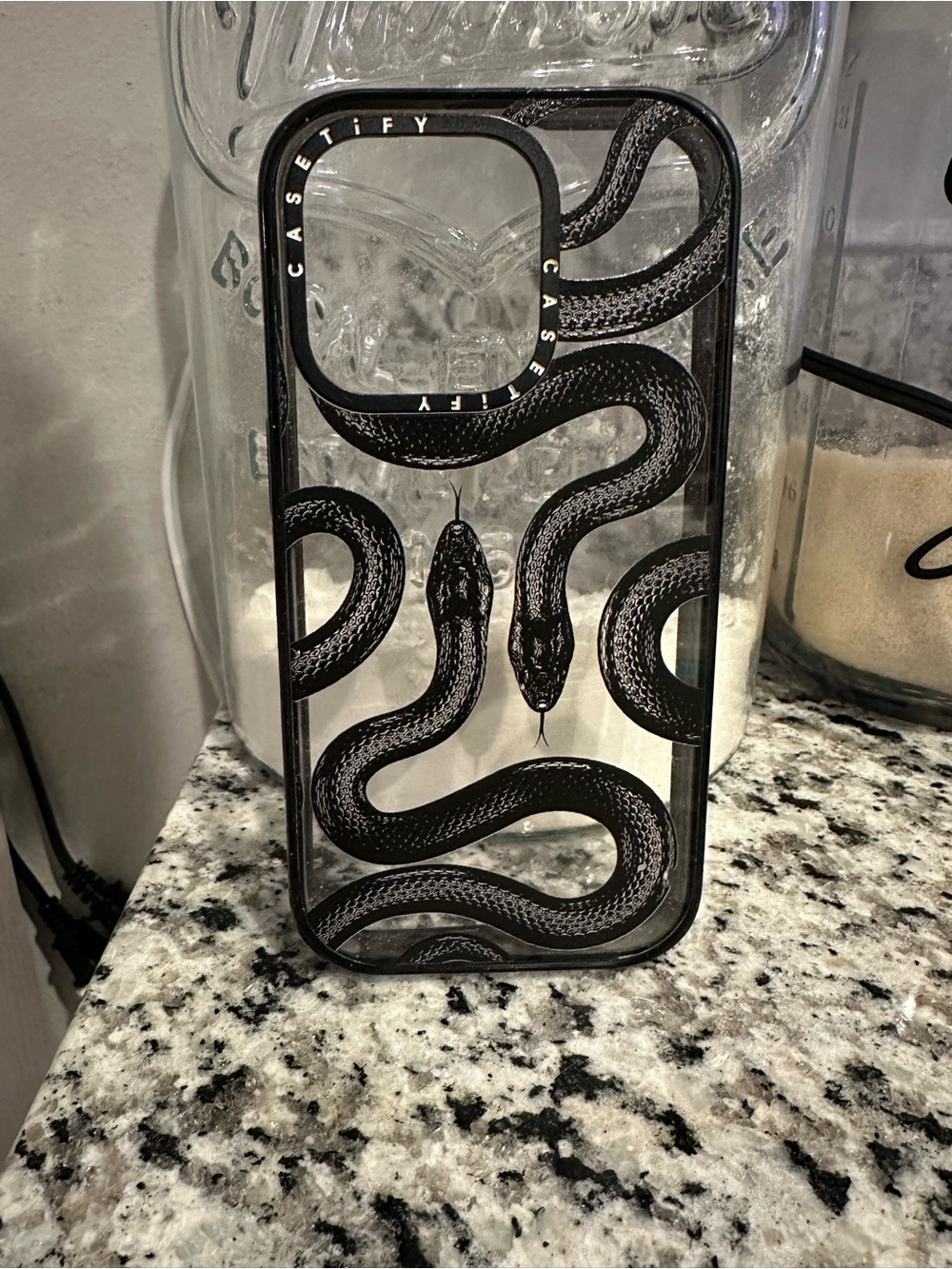 Casetify Transparent Case with Black Snake Motif iPhone 14 Pro